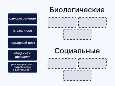Установите соответствие между примерами и видами потребностей