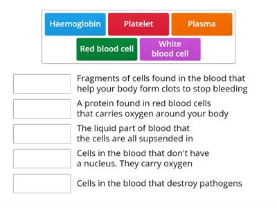 Components of blood