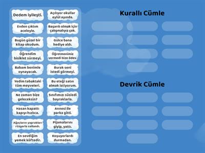 2. Sınıf Kurallı ve Devrik Cümle