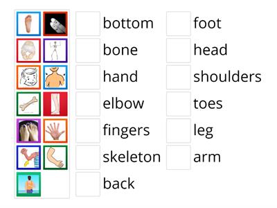 Parts of the body