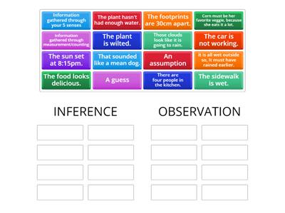 Observation vs Inference