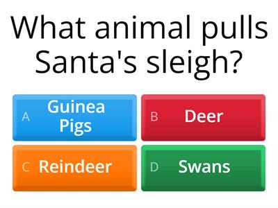 Christmas Quiz