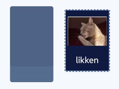 de zintuigen NT2 | de smaak (2)