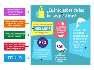 Infografia 2