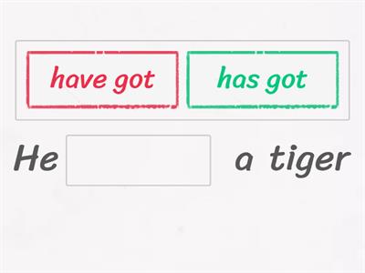 Junior 1 -wild animals