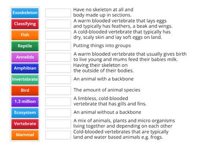 Classifying animals