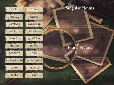 Singular vs. Plural Nouns