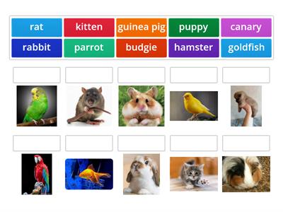 Rainbow English 5 Unit 4 Step 1