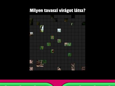 tavasz - kerti virágok