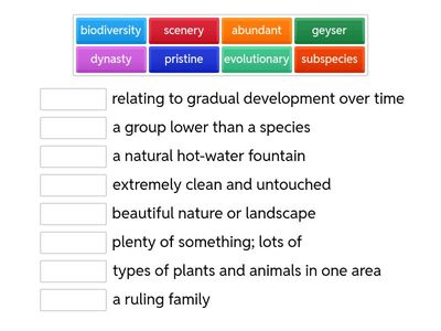 UNIT 8. BOOSTER. MATCHING.