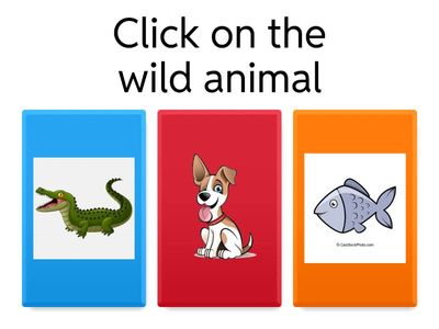 wild animals