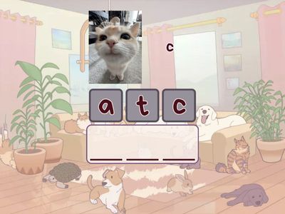 cute dogs,cats calligraphy 