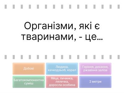 Вхідний аудит "Наземно-повітряне середовище"