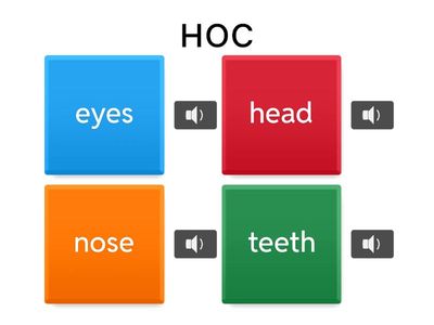 My body - викторина