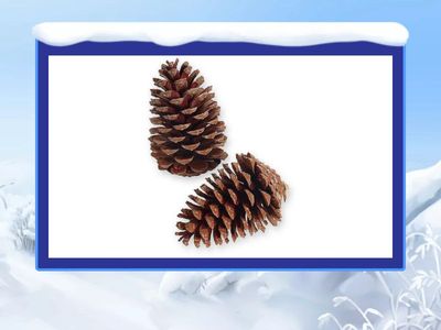 Weihnachtsdekorationen, A1