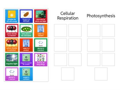 Cellular Respiration and Photosynthesis