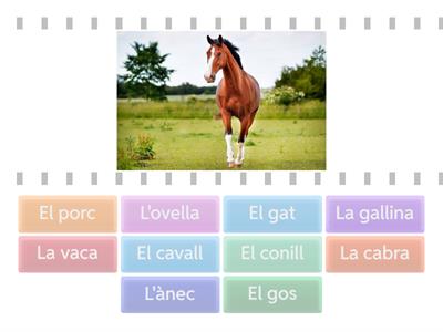 Animals de Granja en Català A2