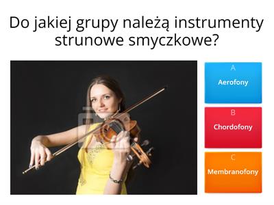 Instrumęty Strunowe Smyczkowe