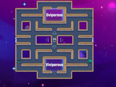 Laberint Oviparous and Viviparous 