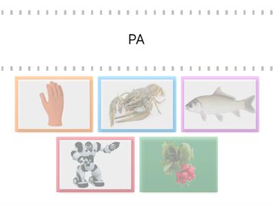 Выбери слово ,что начинается на РА