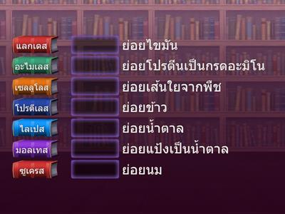 เอนไซม์