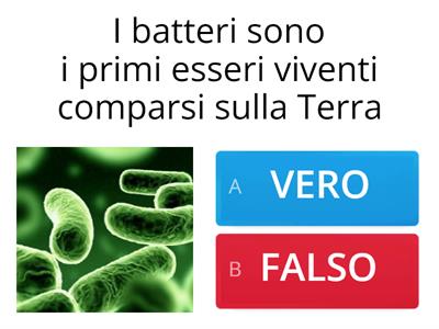 Batteri, funghi, virus