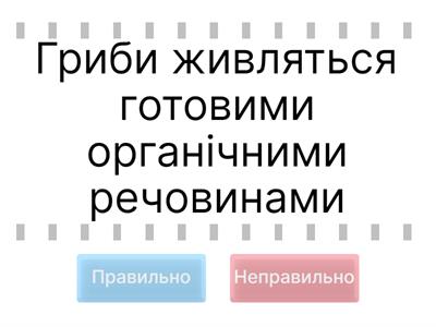 Гриби