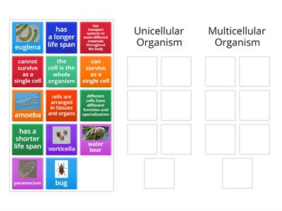 Unicellular vs. Multicellular Organisms