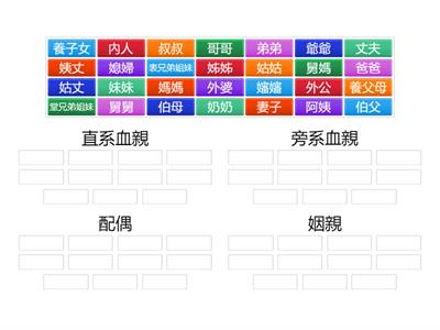 親屬關係（704）