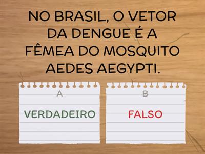 DENGUE - VERDADEIRO OU FALSO