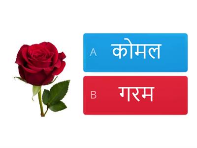 visheshan hindi class 2 