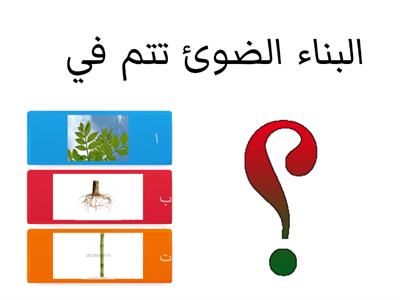 وظائف اجزاء النبات