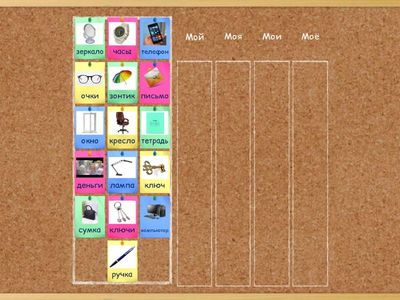 Мой/моя/моё/мои