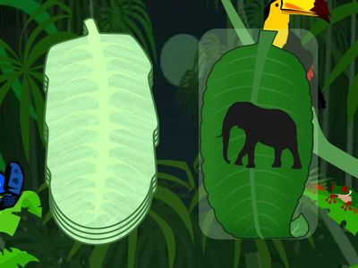 african animals silhouettes