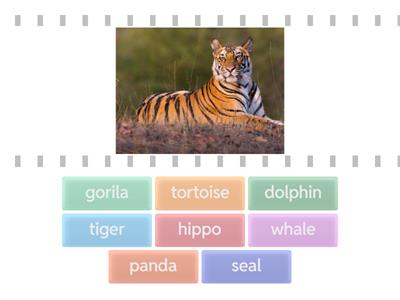 Learn with us 3 -  Unit 1