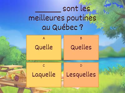 Activité de grammaire - Quel / Lequel