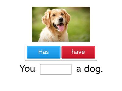 HAVE au PRESENT SIMPLE 