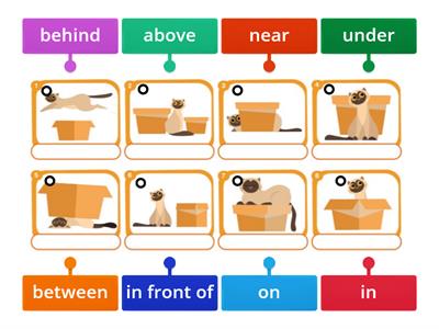 prepositions(on-in-under-near-between-etc.)