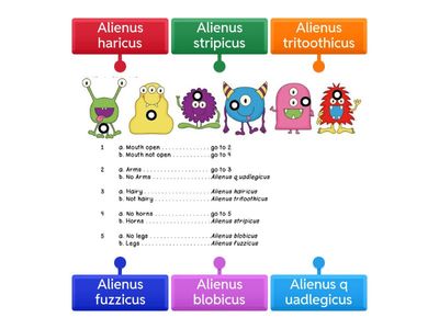 FSI Dichotomous Key Review Game