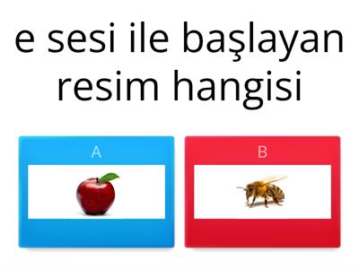 E SESİ OKUL ÖNCESİ ETKİNLİK