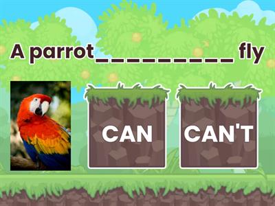 CAN AND CANT- ANIMALS