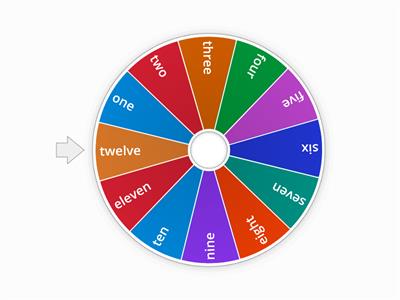12 count spinner