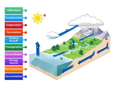 Water Cycle Labeled Diagram 