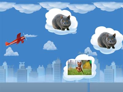 von Чтение 5 лет с картинками