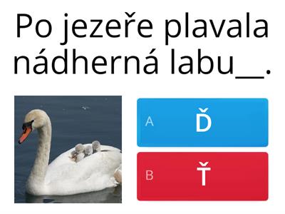 Párové souhlásky Ď - Ť