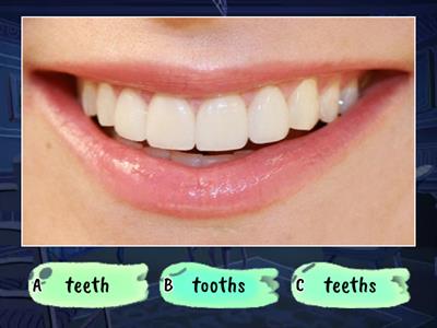 Plural nouns Regular and Irregular