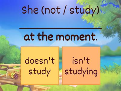 Present Simple vs Present Continuous