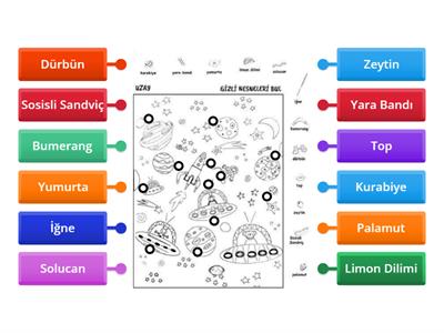 ŞANSEL ÖĞRETMEN -ÖZEL EĞİTİM-DİSLEKSi Resimde Gizlenen Nesneleri Bul.