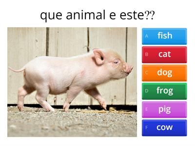 animais em ingles 