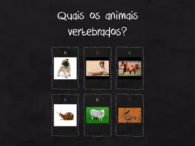 Animais